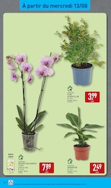 Orchidée Angebote im Prospekt "NOS PRODUITS RENTRÉE À MOINS DE 2 €" von Aldi auf Seite 38