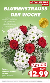 Chrysantheme im Kaufland Prospekt "Aktuelle Angebote" mit 58 Seiten (Bochum)