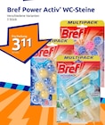 Action Altrich Prospekt mit  im Angebot für 3,11 €