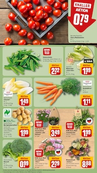 Tomaten im REWE Prospekt "Dein Markt" mit 34 Seiten (Stuttgart)