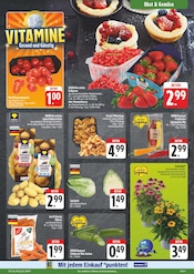 Stauden im E center Prospekt in Schweinfurt Aktueller E center Prospekt mit Stauden, "Wir lieben Lebensmittel!", Seite 7