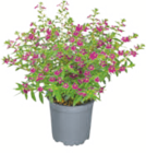 Angebot im toom Baumarkt Kuppenheim Prospekt toom Baumarkt Kuppenheim Prospekt mit im Angebot für 2,49 €