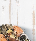 Plateau de fruits de mer pour 2 "Plaisir en duo" en promo chez Bi1 Thonon-les-Bains à 22,99 €