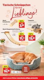 Hundebett Angebot im aktuellen Thomas Philipps Prospekt auf Seite 13