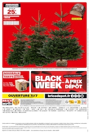 Sapin Nordmann Angebote im Prospekt "JOYEUX PRIX DÉPÔT !" von Brico Dépôt auf Seite 16