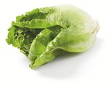 Romana Salat bei Lidl im Waging Prospekt für 1,11 €