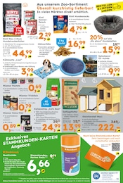 Globus-Baumarkt Hundefutter im Prospekt 