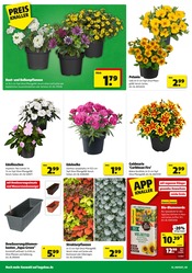 Aktueller Hagebaumarkt Prospekt mit Gartenerde, "SCHNAPP DIR DEIN SUPERBUNDLE", Seite 2