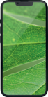 Aktuelles iPhone 13 128 GB Angebot bei EURONICS in Dresden ab 379,00 €