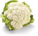 Blumenkohl im Angebot bei Netto Marken-Discount in Castrop-Rauxel Blumenkohl Angebote von HEIMAT bei Netto Marken-Discount Castrop-Rauxel für 0,99 €