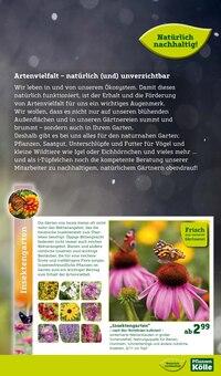 Dekoration im Pflanzen Kölle Prospekt "Gratis Pflanzaktion!" mit 18 Seiten (Hamburg)