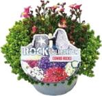 Angebot im Globus-Baumarkt Peine Prospekt Globus-Baumarkt Peine Prospekt mit im Angebot für 4,99 €