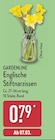 Englische Stiftnarzissen von GARDENLINE im aktuellen ALDI Nord Prospekt für 0,79 €