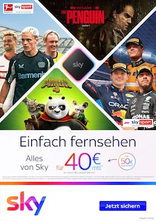 Sky Prospekt mit 4 Seiten (Gesees)