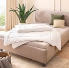 Ganzjahresbett von Noblesse im aktuellen Segmüller Prospekt für 19,99 €