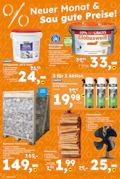 Aktueller Globus-Baumarkt Prospekt mit Kaminholz, "Immer eine Idee besser", Seite 2
