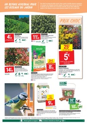 Promos Photinia dans le catalogue "DES PROMOS vertIGINEUSES" de Gamm vert Photinia en promo dans le catalogue Gamm vert à la page 7