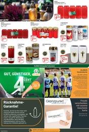 Grabpflege im GLOBUS Prospekt in Amberg Aktueller GLOBUS Prospekt mit Grabpflege, "Aktuelle Angebote", Seite 27