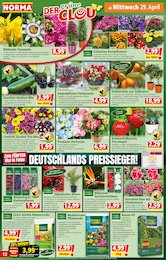 Norma Garnelen im Prospekt 