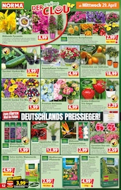 Aktueller Norma Prospekt mit Whiskey, "Mehr fürs Geld", Seite 12
