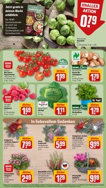 Blumentopf im REWE Prospekt in Ettlingen Aktueller REWE Prospekt mit Blumentopf, "Dein Markt", Seite 11