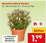 Bienenfreundliche Stauden Angebote bei Netto Marken-Discount Fulda für 1,99 €