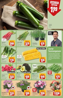 Spargel im REWE Prospekt "Dein Markt" mit 32 Seiten (Mönchengladbach)