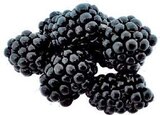 Brombeeren bei E center im Steinfurt Prospekt für 2,22 €