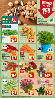 Gartenmöbel im aktuellen REWE Prospekt (Essen) Gartenmöbel im REWE Prospekt "Dein Markt" mit 30 Seiten (Essen)