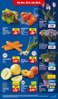 Gemüse im Lidl Prospekt "LIDL LOHNT SICH" mit 64 Seiten (Nürnberg)