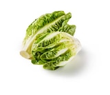Lidl Monschau - Deutscher Mini Romana Angebot im Prospekt Deutscher Mini Romana bei Lidl im Monschau Prospekt für 1,52 €