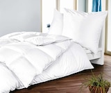 3-Kammerkissen bei porta Möbel im Wiedemar Prospekt für 49,99 €