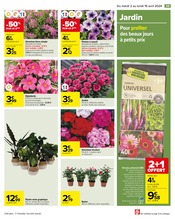 Promo Plante Verte dans le catalogue Carrefour du moment à la page 43