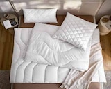 Sleeptex Betten-Serie „Copa“, Angebote bei XXXLutz Möbelhäuser Bonn für 39,99 €