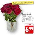 Aktuelle Pflanzen Angebote bei EDEKA in Freiburg (Breisgau) Aktuelles Rosenstrauß Angebot bei EDEKA in Freiburg (Breisgau) ab 6,99 €