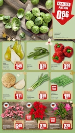 Aktueller REWE Prospekt mit Pflanzen, "Dein Markt", Seite 9