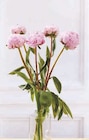 U Express Lorient - Promo Bouquet de 5 pivoines Promo Bouquet de 5 pivoines à 5,99 € dans le catalogue U Express à Lorient