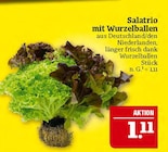 Aktuelles Salatrio mit Wurzelballen Angebot bei Marktkauf in Leipzig ab 1,11 €