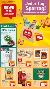 REWE Prospekt Dein Markt mit 30 Seiten