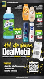 Aktueller EDEKA Prospekt mit Nivea, "Aktuelle Angebote", Seite 20