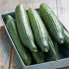 Concombre - Intermarché à Boulogne-Billancourt Concombre en promo chez Intermarché Boulogne-Billancourt à 2,25 €