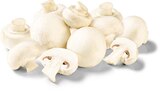 Aktuelle Champignons Angebote bei Netto Marken-Discount in Duisburg Aktuelles Champignons weiß Angebot bei Netto Marken-Discount in Duisburg ab 1,69 €