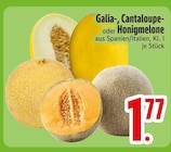 Melone im EDEKA Prospekt Galia-Melone im aktuellen EDEKA Prospekt für 1,77 €