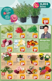 REWE Blumen im Prospekt 