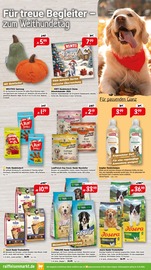 Hundefutter im Raiffeisenmarkt Prospekt in Aurich Aktueller Raiffeisenmarkt Prospekt mit Hundefutter, "Gartenfreude im Herbst", Seite 2
