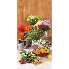 Foire à la botte - FLEUR en promo chez Carrefour Toulon à 3,99 €