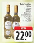 E center Veitshöchheim - 2024er Silvaner Angebot im Prospekt 2024er Silvaner bei E center im Veitshöchheim Prospekt für 22,00 €