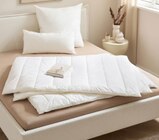 Sommerbett von Centa-Star für 39,99 € bei XXXLutz Möbelhäuser im Angebot Sommerbett von Centa-Star im aktuellen XXXLutz Möbelhäuser Prospekt