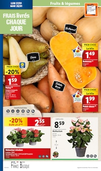 Promo Jardinage dans le catalogue Lidl du moment à la page 36