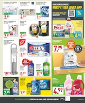 Persil im Marktkauf Prospekt in Mülheim Aktueller Marktkauf Prospekt mit Persil, "Aktuelle Angebote", Seite 17